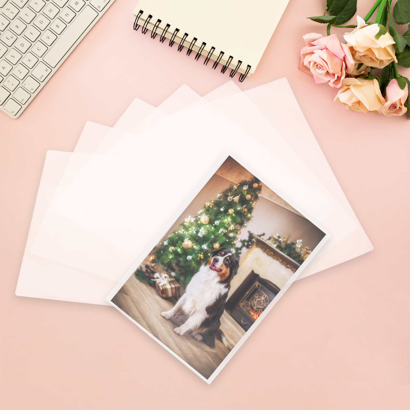 100개입 보호용 라미네이팅 시트, 라미네이터 기계용  - Document Laminator Pouch 리뷰 및 가격
